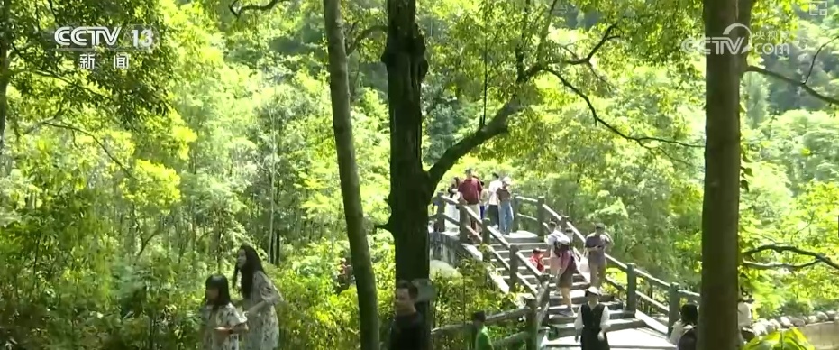 夏日文旅“好戏连台”别样精彩 上“新招”引“客流”激活消费新潜力 夏日文旅“好戏连台”别样精彩 上“新招”引“客流”激活消费新潜力