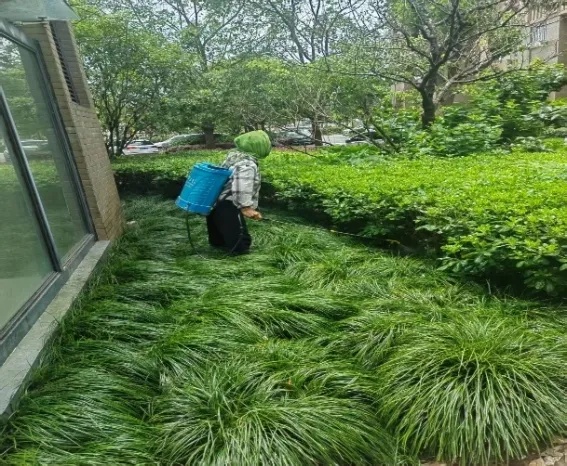 上海七旬老人小区散步被毒蛇咬伤!初步判断:可能为居民家养蛇... 上海七旬老人小区散步被毒蛇咬伤!初步判断:可能为居民家养蛇...