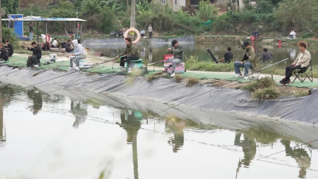 钓一条鱼最高奖30万?这5人把“钓场”开成“赌场” 钓一条鱼最高奖30万?这5人把“钓场”开成“赌场”