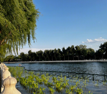 夏天感冒别随意喝藿香正气水 夏天感冒别随意喝藿香正气水