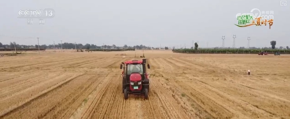 以种适地、以虫治虫……科技赋能“三夏” “智慧种地”绘就好“丰”景 以种适地、以虫治虫……科技赋能“三夏” “智慧种地”绘就好“丰”景