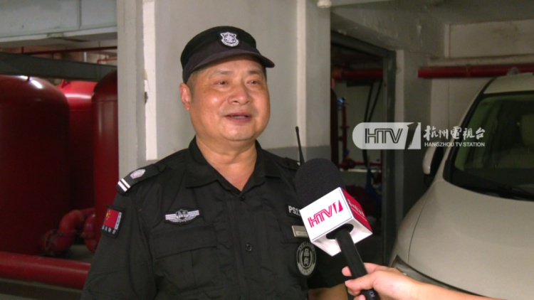 杭州一写字楼内出现“小狐狸”？兽医院院长：普通的宠物小狗，像狐狸犬