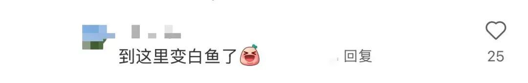 “百鱼起飞”，被指是地震前兆？专家回应