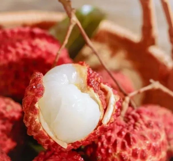 夏至丨万物繁茂,共赴一场盛夏之约 夏至丨万物繁茂,共赴一场盛夏之约