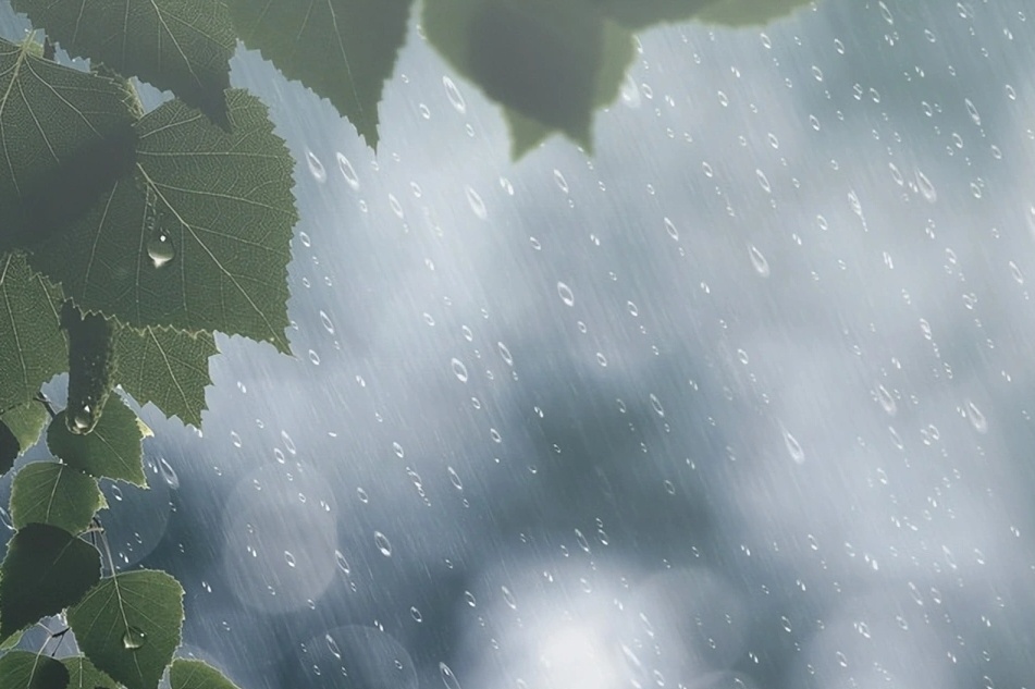 再发高温预警！上海午后强对流来袭，准备好迎接梅雨季2.0版本了吗？