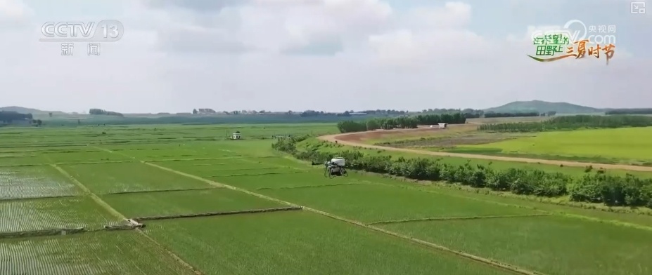 以种适地、以虫治虫……科技赋能“三夏” “智慧种地”绘就好“丰”景 以种适地、以虫治虫……科技赋能“三夏” “智慧种地”绘就好“丰”景