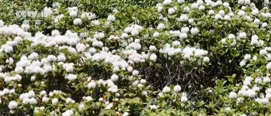 夏日文旅“好戏连台”别样精彩 上“新招”引“客流”激活消费新潜力 夏日文旅“好戏连台”别样精彩 上“新招”引“客流”激活消费新潜力