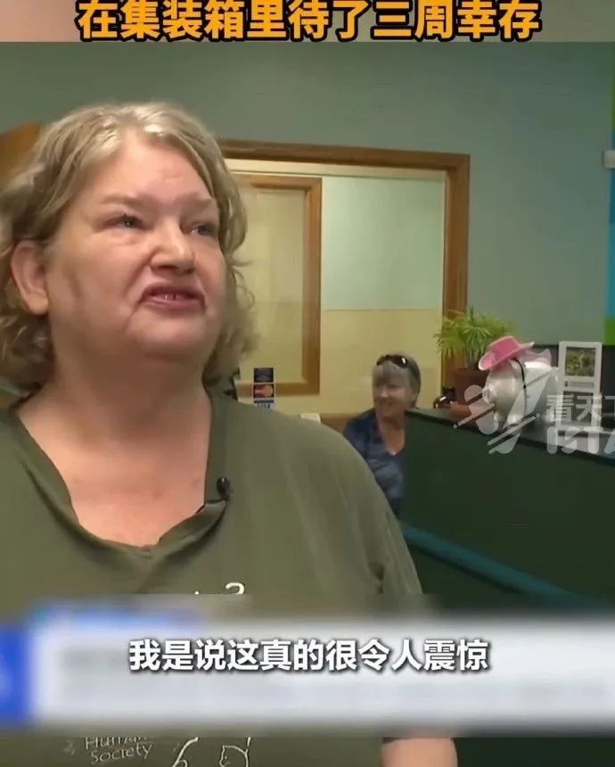中国小猫被意外运到美国！无食无水的情况下生存了三周
