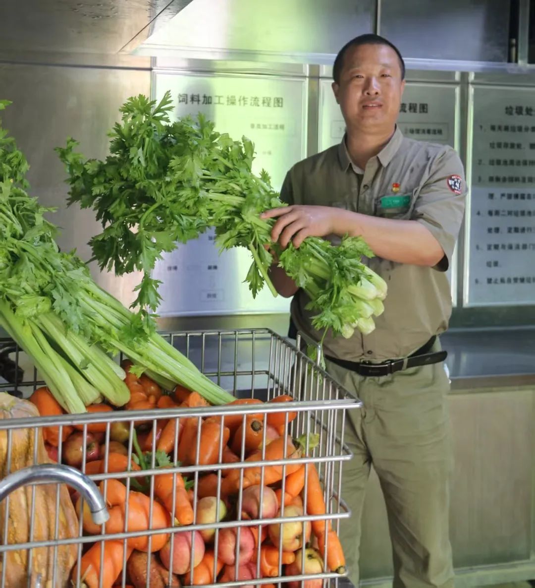 当非洲象遇见北京饲养员:看劳模如何破解“吨位萌宠”的养成密码 当非洲象遇见北京饲养员:看劳模如何破解“吨位萌宠”的养成密码