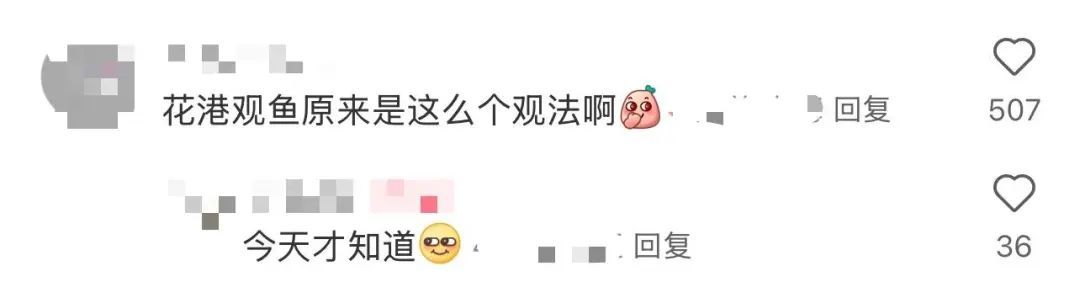 杭州西湖惊现“百鱼起飞”,被指是地震前兆?鱼:只是呼吸困难 杭州西湖惊现“百鱼起飞”,被指是地震前兆?鱼:只是呼吸困难