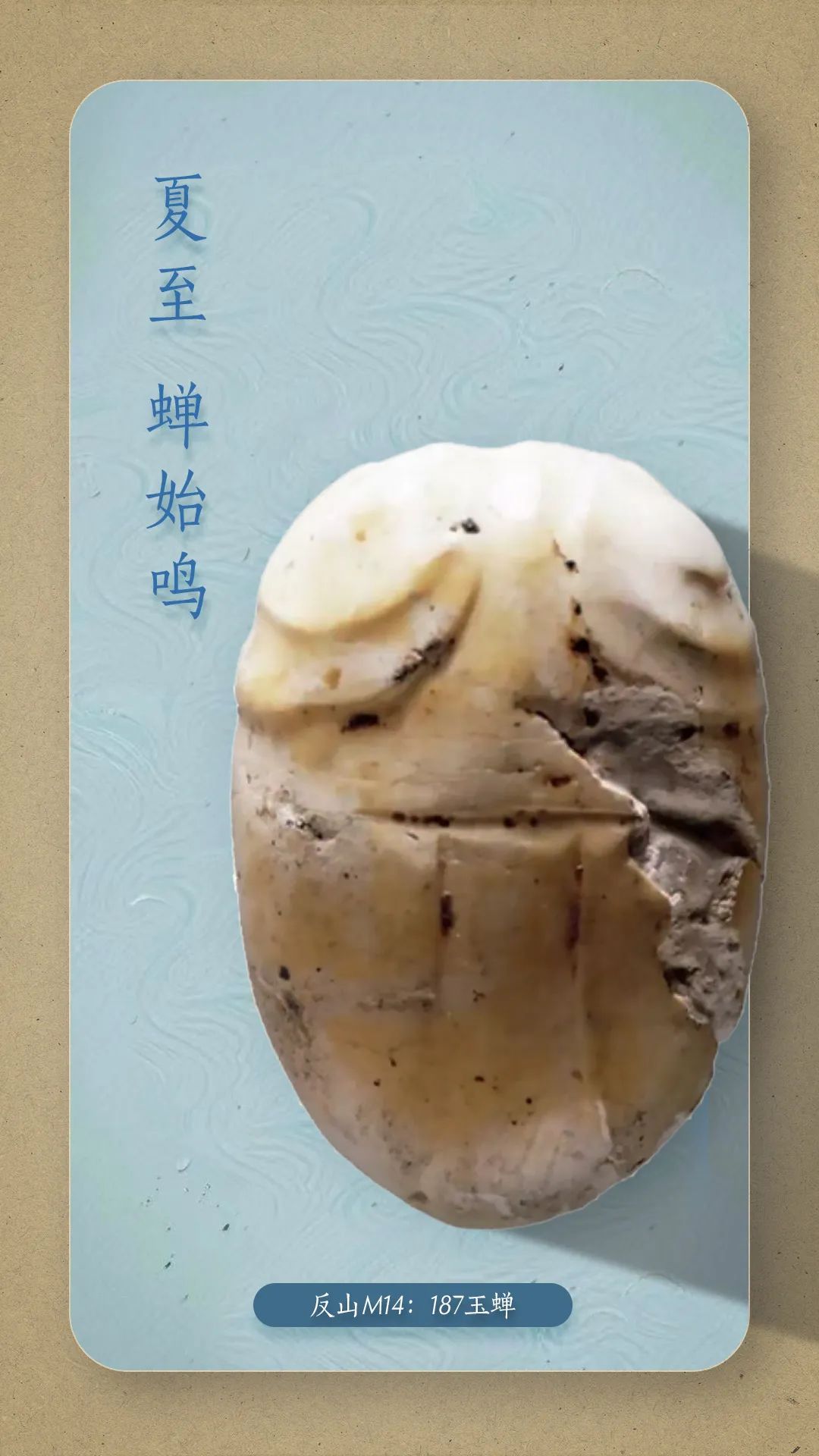 今日夏至：蝉鸣忽觉夏日长