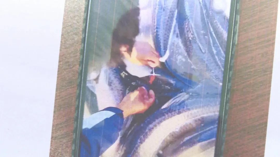 钓一条鱼最高奖30万?这5人把“钓场”开成“赌场” 钓一条鱼最高奖30万?这5人把“钓场”开成“赌场”