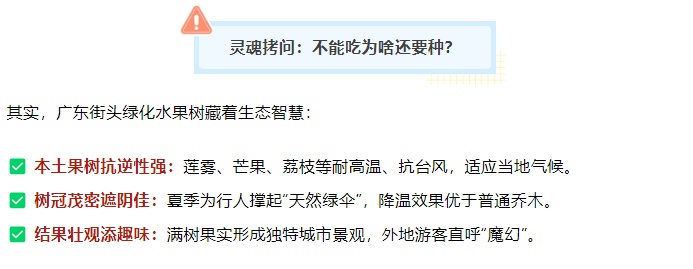 “水果皇帝”免费捡?广东街头莲雾大量掉落!不建议吃!看看就好啦~ “水果皇帝”免费捡?广东街头莲雾大量掉落!不建议吃!看看就好啦~