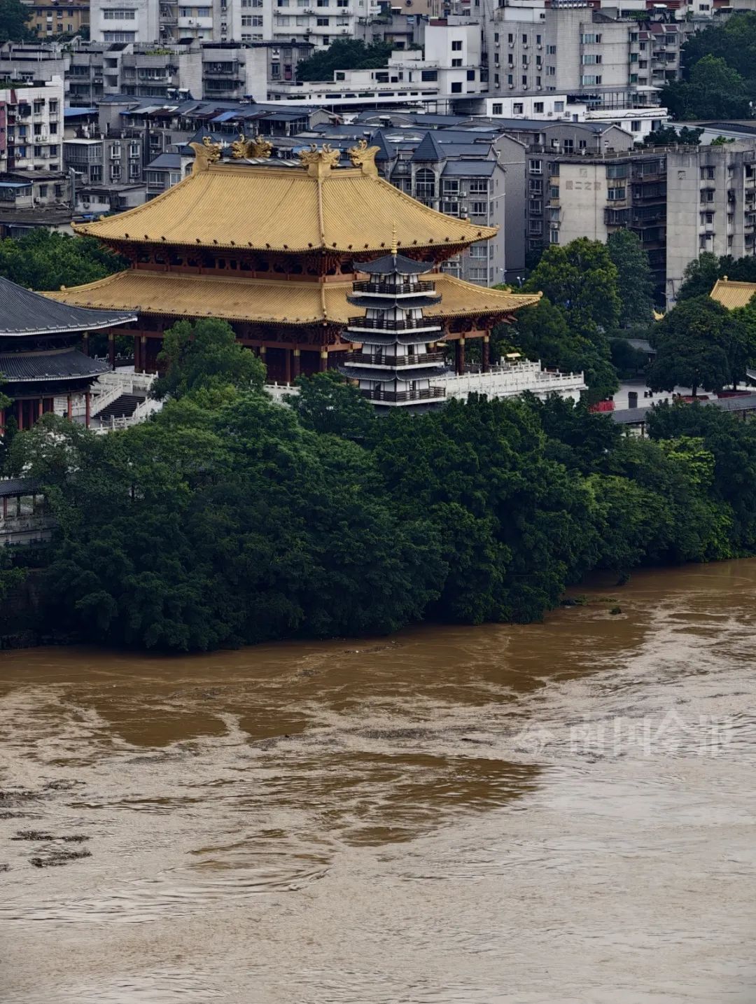 柳江水位或直逼83米！大雨、暴雨还在持续，柳州5条江河超警洪水