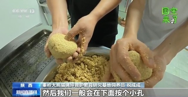 总台记者化身“大熊猫奶爸” 独家揭秘国宝可爱日常 总台记者化身“大熊猫奶爸” 独家揭秘国宝可爱日常