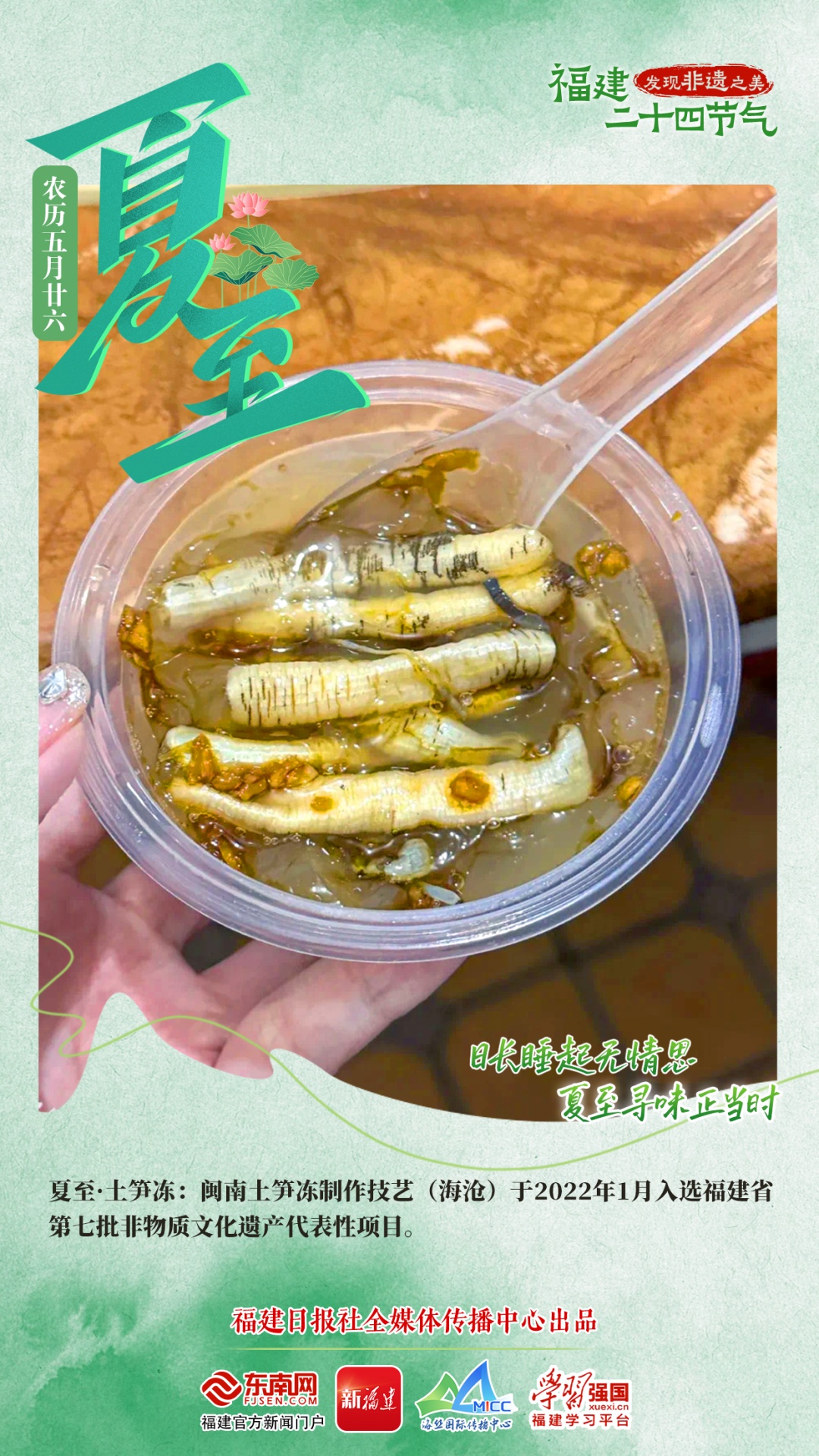 夏至丨万物繁茂,共赴一场盛夏之约 夏至丨万物繁茂,共赴一场盛夏之约