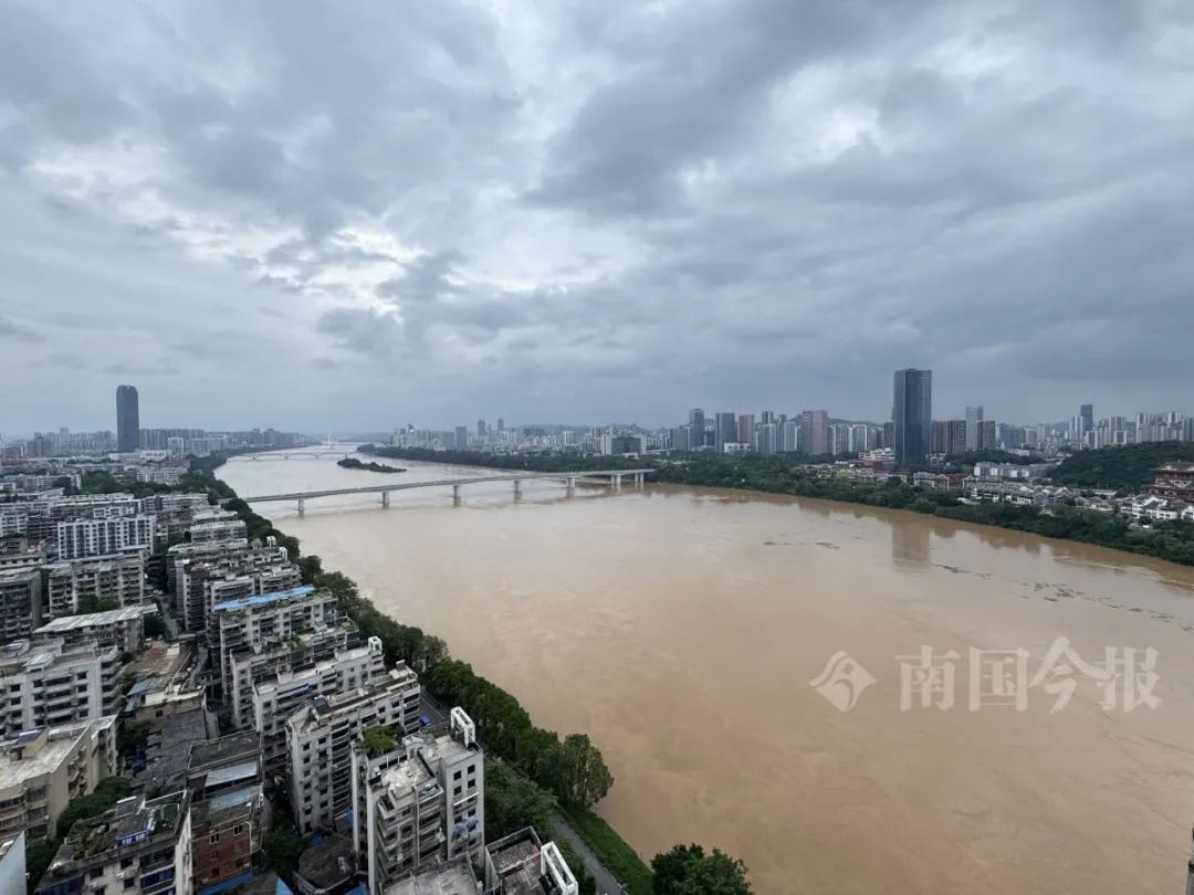 柳江水位或直逼83米！大雨、暴雨还在持续，柳州5条江河超警洪水