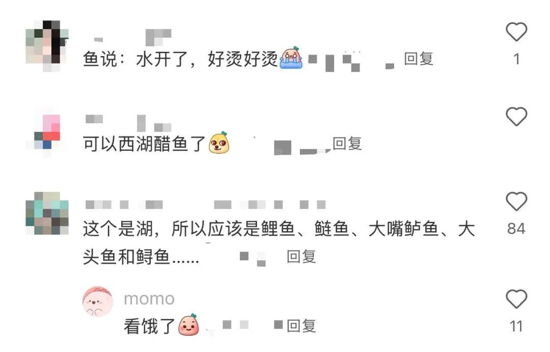 西湖惊现“百鱼起飞”,咋回事? 西湖惊现“百鱼起飞”,咋回事?