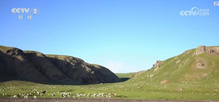 护牧队全程护航:新疆夏季转场安全有序 护牧队全程护航:新疆夏季转场安全有序