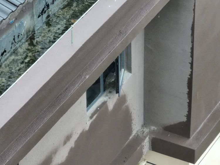 家里来了“不速之客”!夫妻俩决定:让出新房,连夜搬离 家里来了“不速之客”!夫妻俩决定:让出新房,连夜搬离