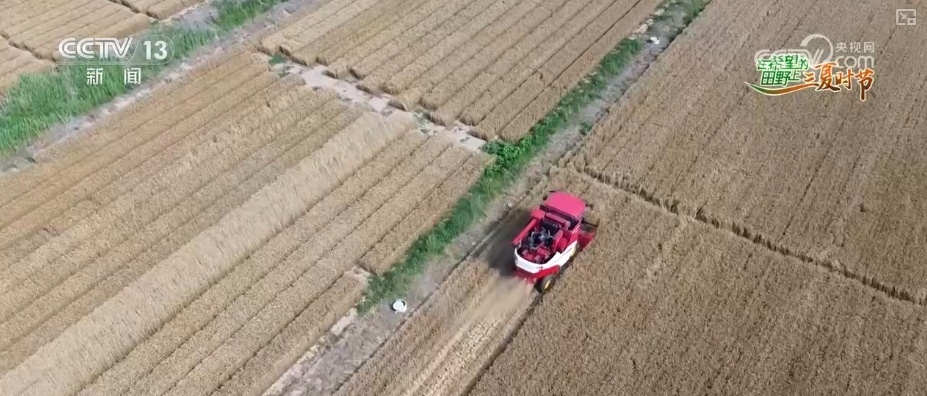 以种适地、以虫治虫……科技赋能“三夏” “智慧种地”绘就好“丰”景 以种适地、以虫治虫……科技赋能“三夏” “智慧种地”绘就好“丰”景