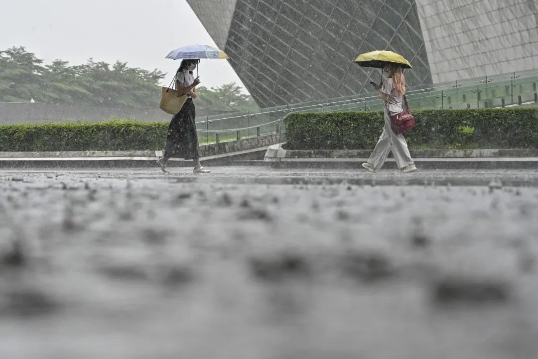 连降暴雨!广东提醒:这些食品不得出售 连降暴雨!广东提醒:这些食品不得出售