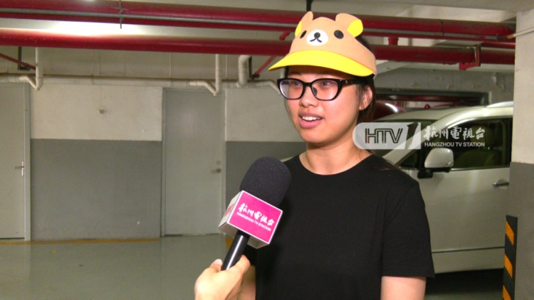 杭州一写字楼内出现“小狐狸”？兽医院院长：普通的宠物小狗，像狐狸犬