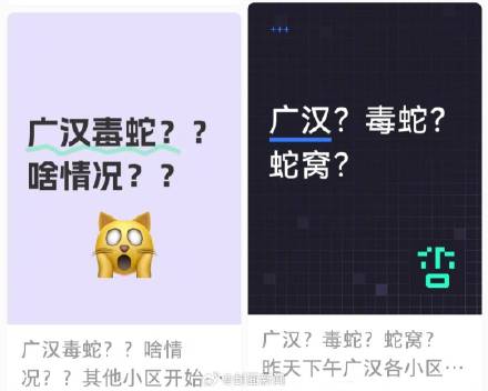 四川广汉辟谣上百条毒蛇出逃 警方已介入调查 四川广汉辟谣上百条毒蛇出逃 警方已介入调查