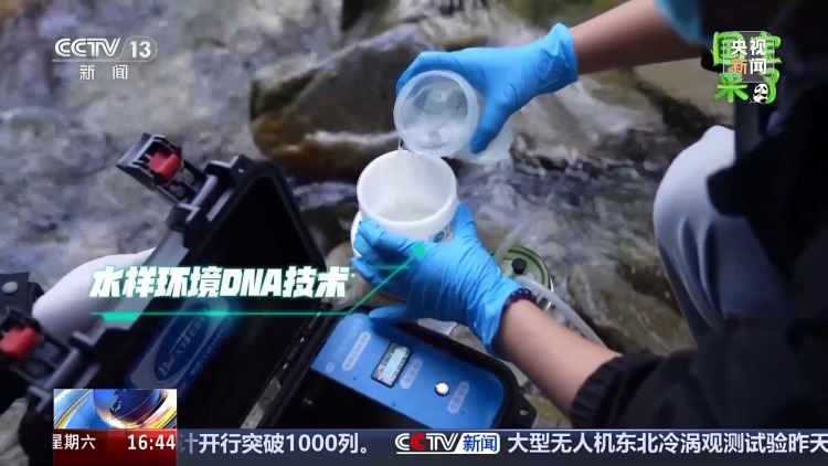 野生大熊猫有多少?种群如何分布?科研团队实地探秘 野生大熊猫有多少?种群如何分布?科研团队实地探秘