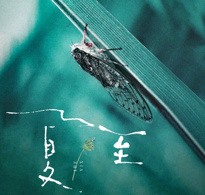 今日夏至,要做这些事! 今日夏至,要做这些事!