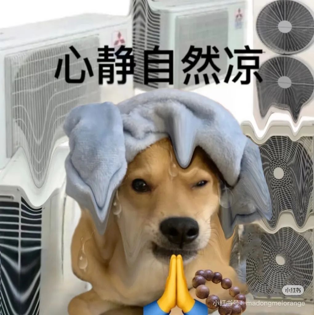 强对流！大到暴雨！上海一秒“变脸”，连发多个预警，天气大反转：要倒“开水”了