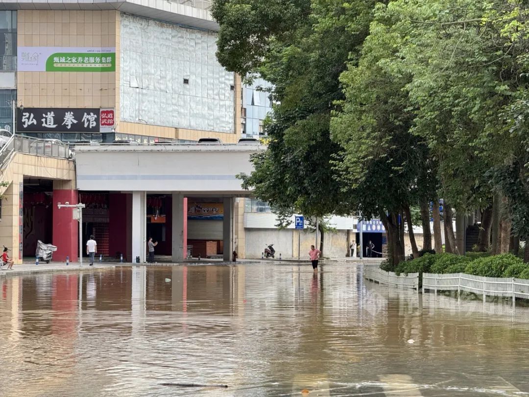 柳江水位或直逼83米！大雨、暴雨还在持续，柳州5条江河超警洪水