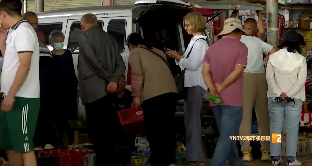 主打新鲜!清早采摘下午开抢!昆明这里的"车尾菌市"火啦 主打新鲜!清早采摘下午开抢!昆明这里的"车尾菌市"火啦