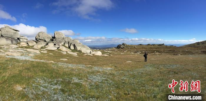布冈夜蛾何以飞越千里?研究发现或能利用星辰导航 布冈夜蛾何以飞越千里?研究发现或能利用星辰导航