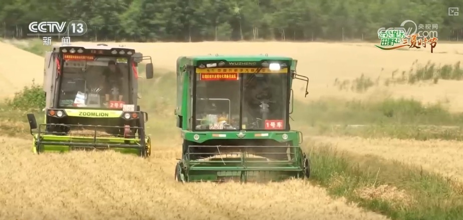 以种适地、以虫治虫……科技赋能“三夏” “智慧种地”绘就好“丰”景 以种适地、以虫治虫……科技赋能“三夏” “智慧种地”绘就好“丰”景