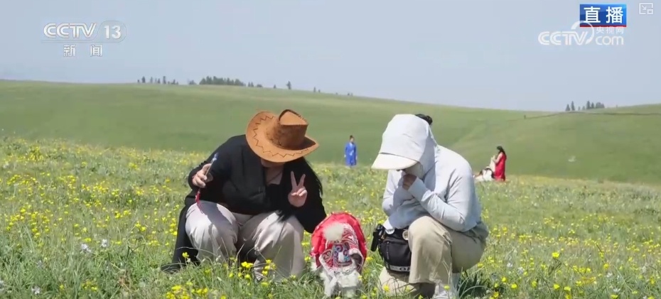 夏日文旅“好戏连台”别样精彩 上“新招”引“客流”激活消费新潜力 夏日文旅“好戏连台”别样精彩 上“新招”引“客流”激活消费新潜力