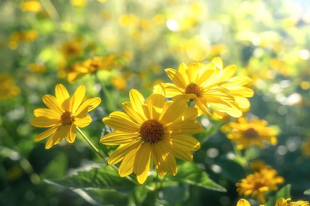 今日夏至,要做这些事! 今日夏至,要做这些事!