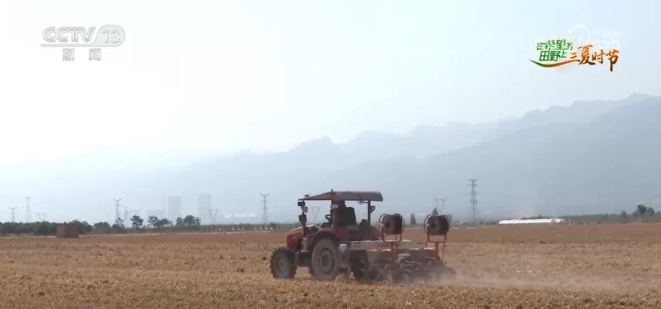 万物至盛 欣欣向荣 希望的田野上奏响丰收“欢歌” 万物至盛 欣欣向荣 希望的田野上奏响丰收“欢歌”