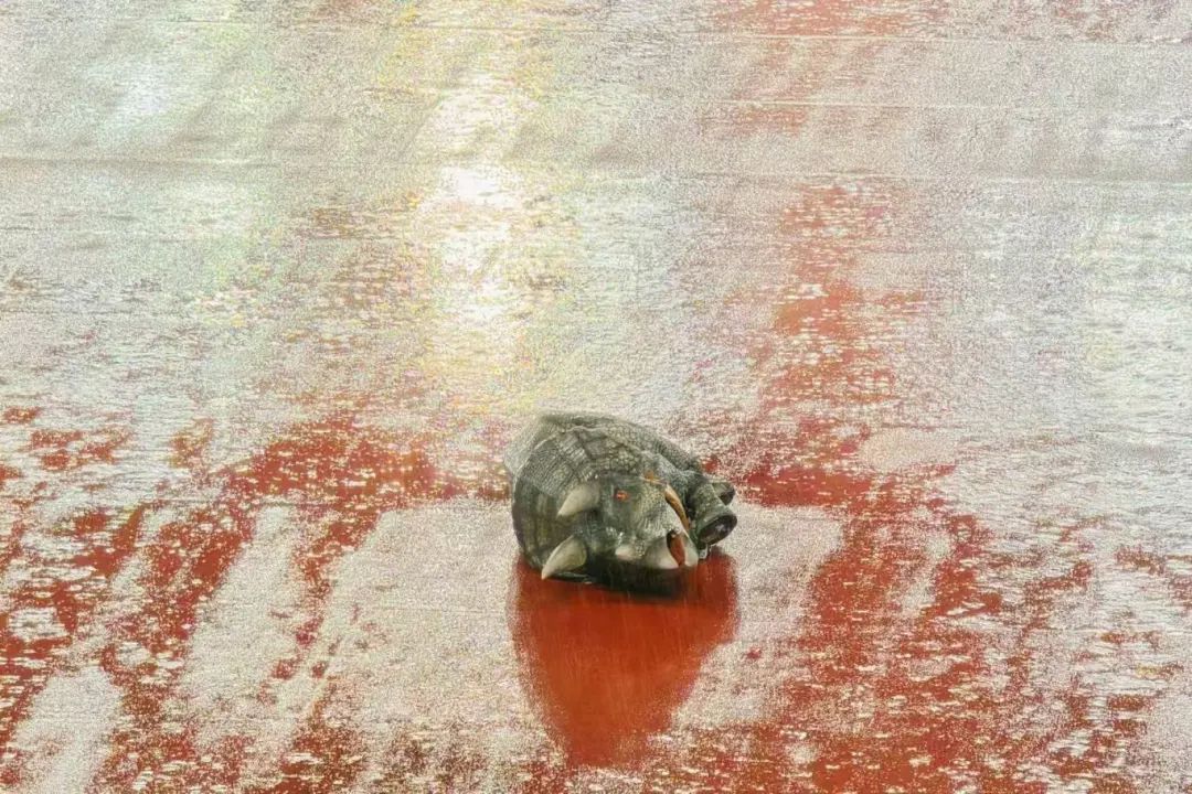 苏超累倒一只恐龙