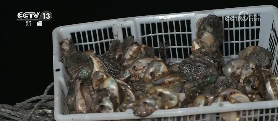 初夏时节渔货满仓 特色产业绘出乡村振兴好“丰”景 初夏时节渔货满仓 特色产业绘出乡村振兴好“丰”景