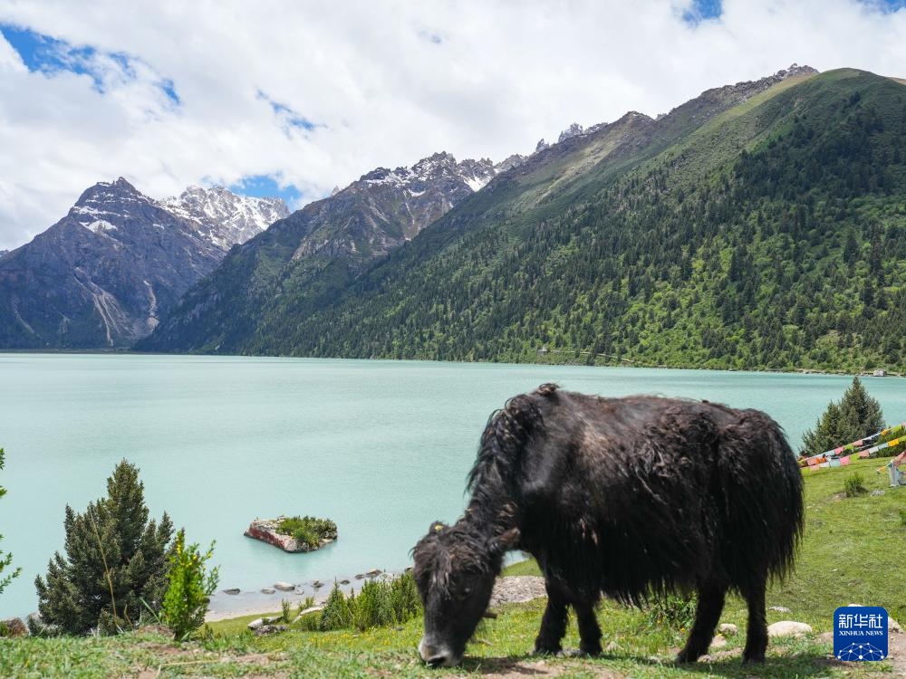 玉龙拉措：川藏公路上的秘境