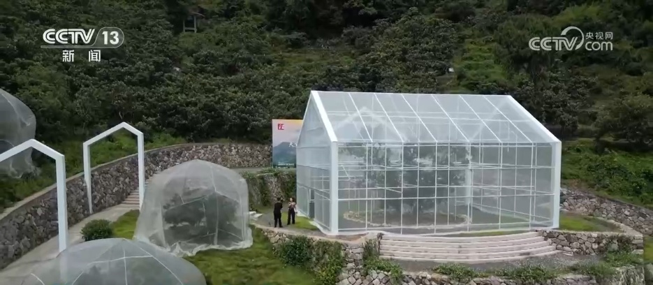 万物至盛 欣欣向荣 希望的田野上奏响丰收“欢歌” 万物至盛 欣欣向荣 希望的田野上奏响丰收“欢歌”