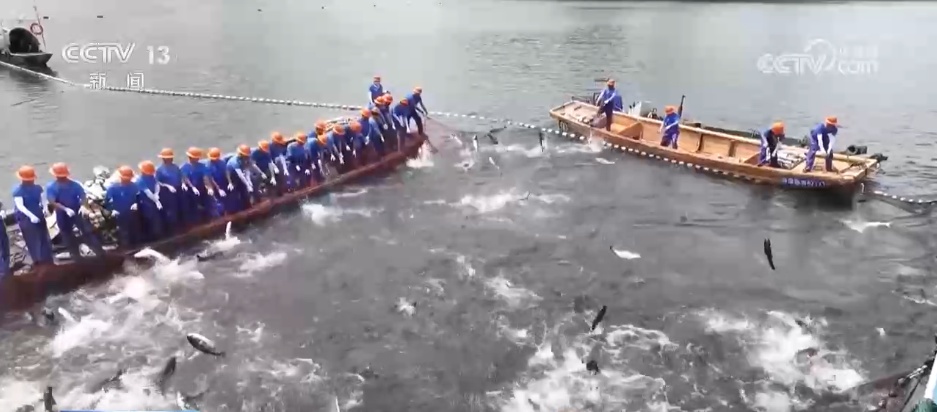 初夏时节渔货满仓 特色产业绘出乡村振兴好“丰”景 初夏时节渔货满仓 特色产业绘出乡村振兴好“丰”景