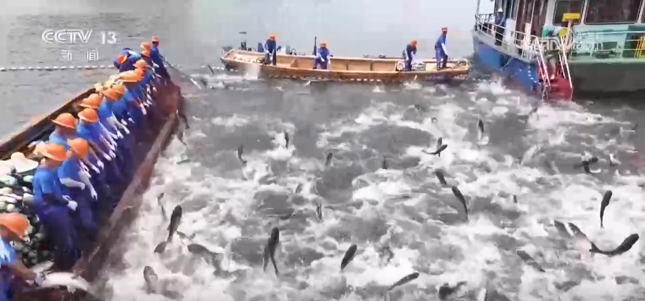 初夏时节渔货满仓 特色产业绘出乡村振兴好“丰”景 初夏时节渔货满仓 特色产业绘出乡村振兴好“丰”景