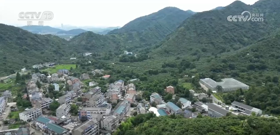 万物至盛 欣欣向荣 希望的田野上奏响丰收“欢歌” 万物至盛 欣欣向荣 希望的田野上奏响丰收“欢歌”