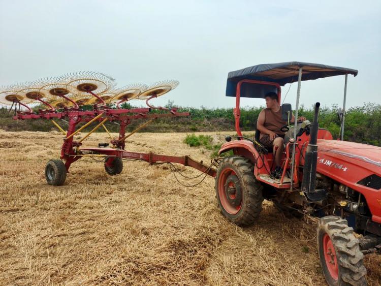 田间地头也有“星辰大海”——三位“00后”新农人的夏收故事 田间地头也有“星辰大海”——三位“00后”新农人的夏收故事
