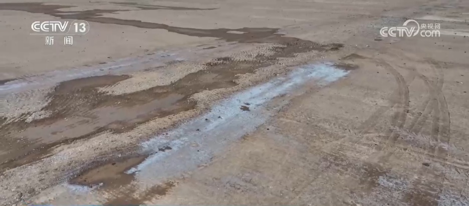 从“寸草不生”到牧草丰盈 戈壁小镇以草为媒振兴高原乡村