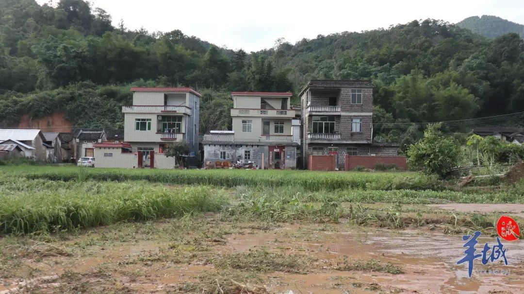 怀集蓝坑村被洪水突袭后72小时:村民守望相助,救援队挺进“孤村” 怀集蓝坑村被洪水突袭后72小时:村民守望相助,救援队挺进“孤村”