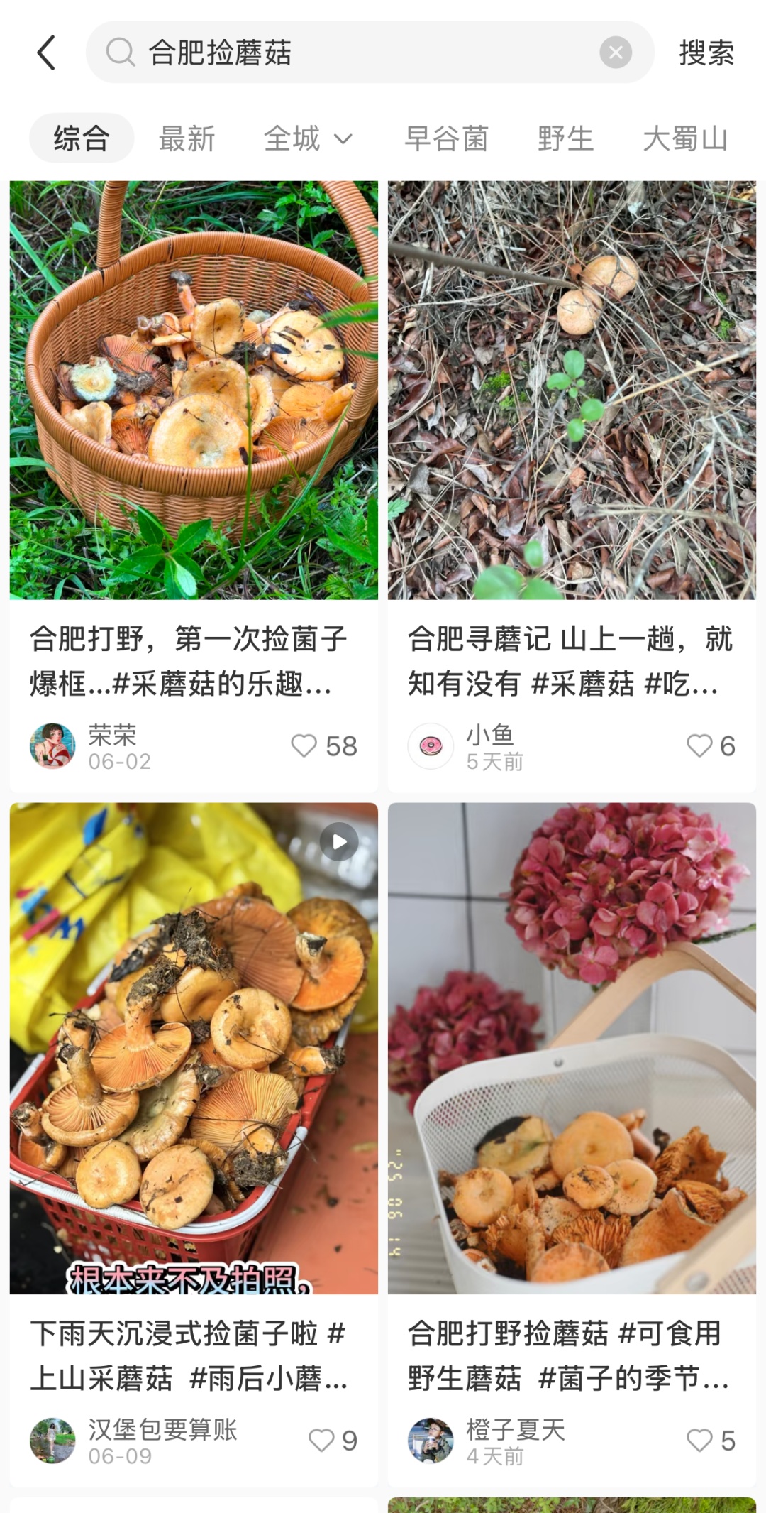 大蜀山捡蘑菇?近期疯长!官方提醒:不要随意采摘食用 大蜀山捡蘑菇?近期疯长!官方提醒:不要随意采摘食用