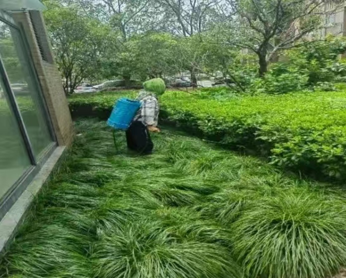 上海75岁老人小区内被毒蛇咬伤！沪上血清储备医院为何较少？毒蛇来源初判→
